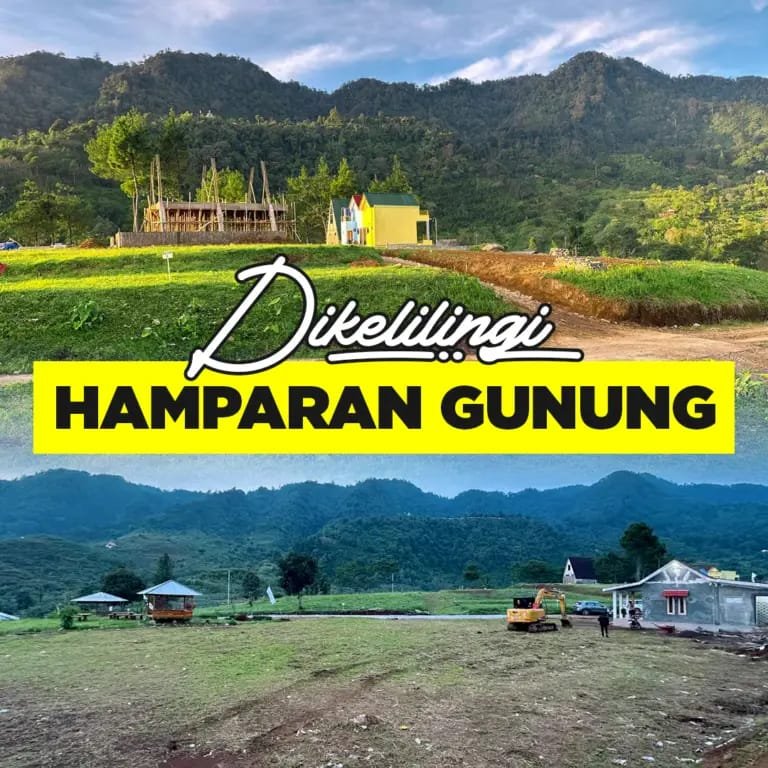 WhatsApp Image 2026-02-02 at 21.10.06