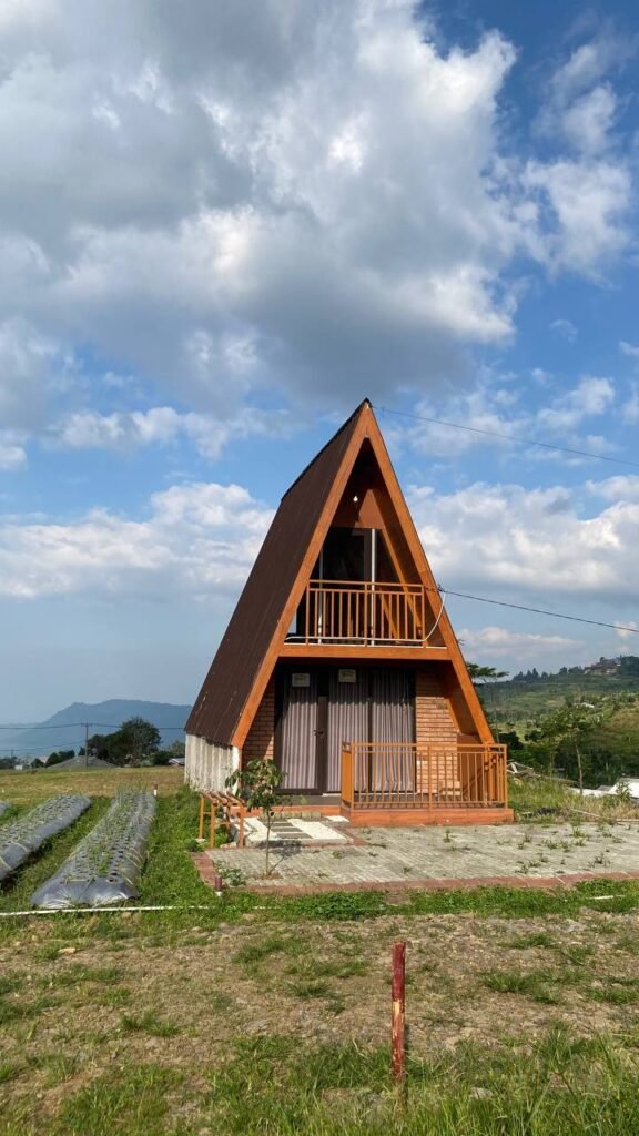 e8191d33-c184-495f-a029-2f335f19cd91